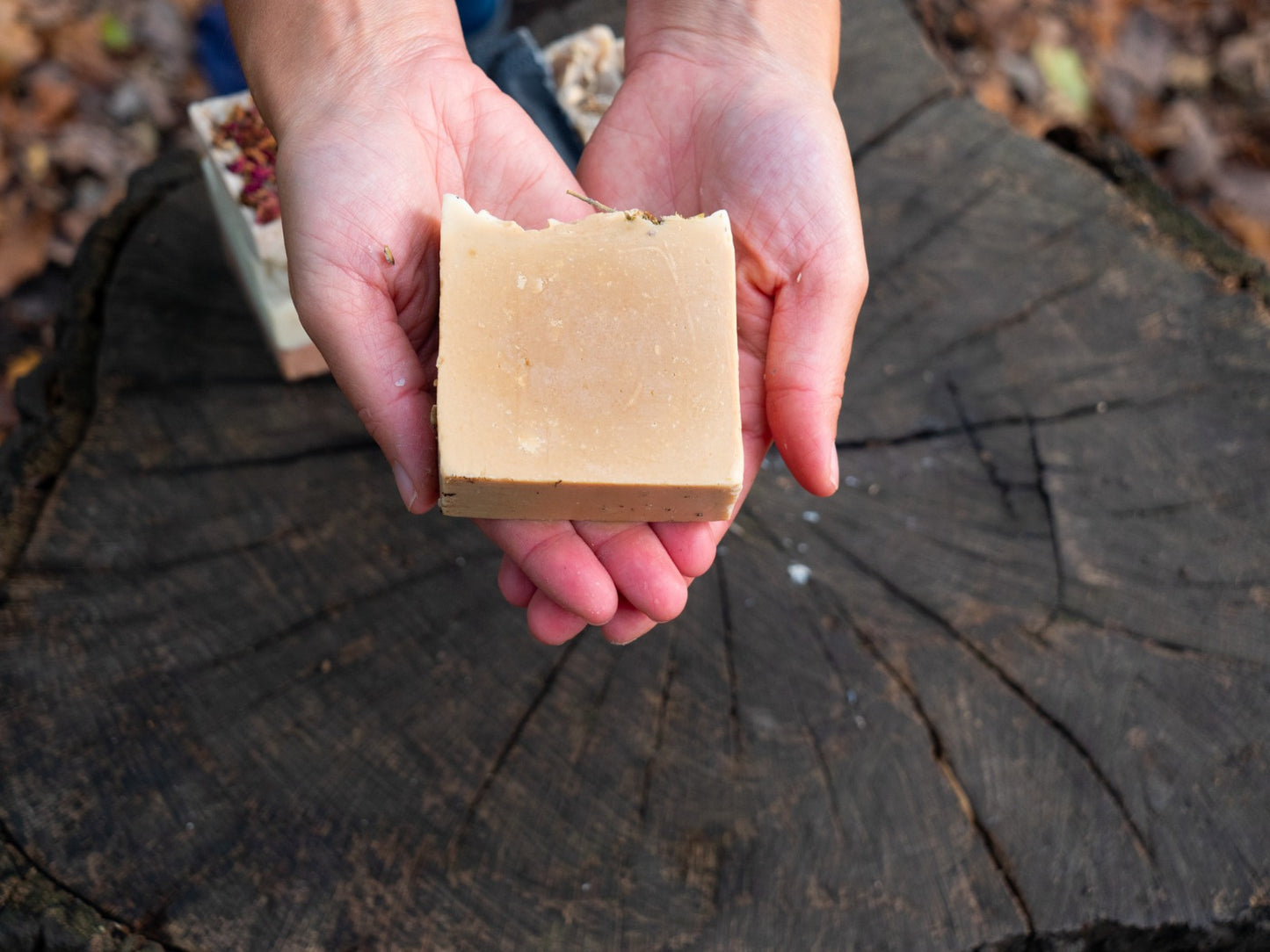 Delicate Duo Soap